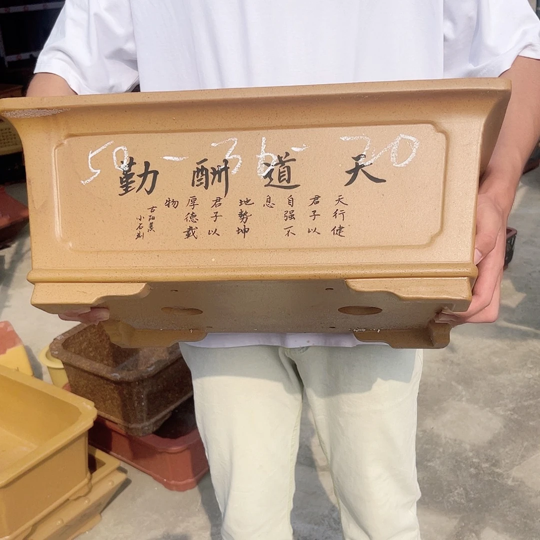 可以让孩子的注意