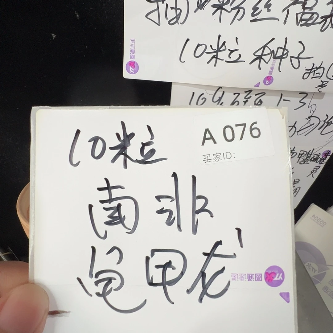 多肉植物专拍植物不退换 一物一拍 a076