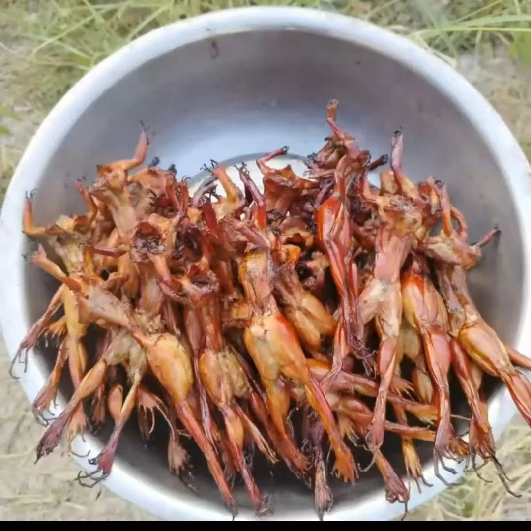 衡山特色自制腊青蛙