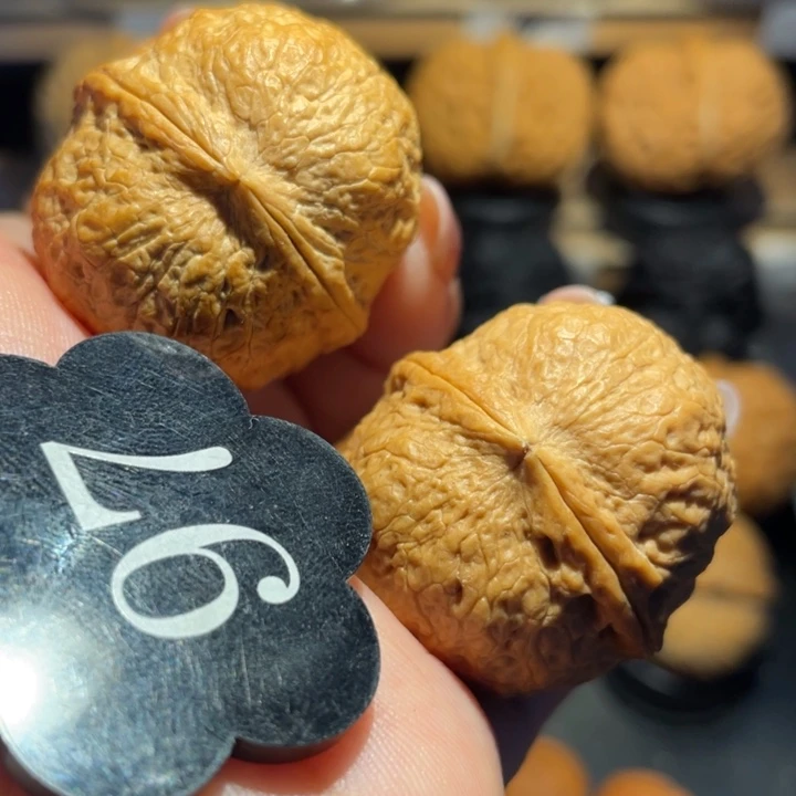 星星球核桃尺寸35
