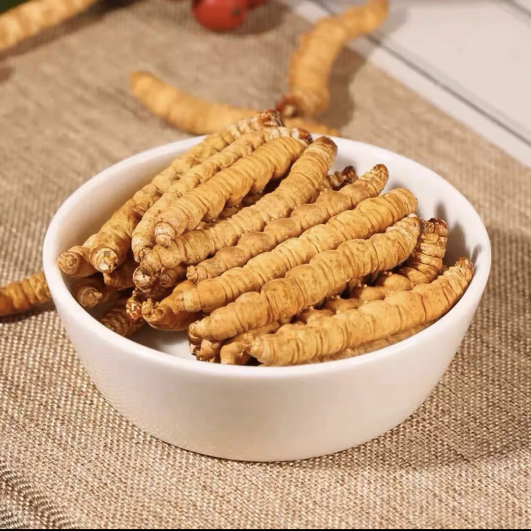 【藏区正宗冬虫夏草-纯肉节】自用滋补佳品