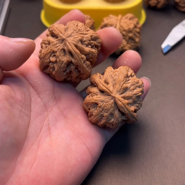 一****大叶紫檀（黑酸枝木类）粗筋