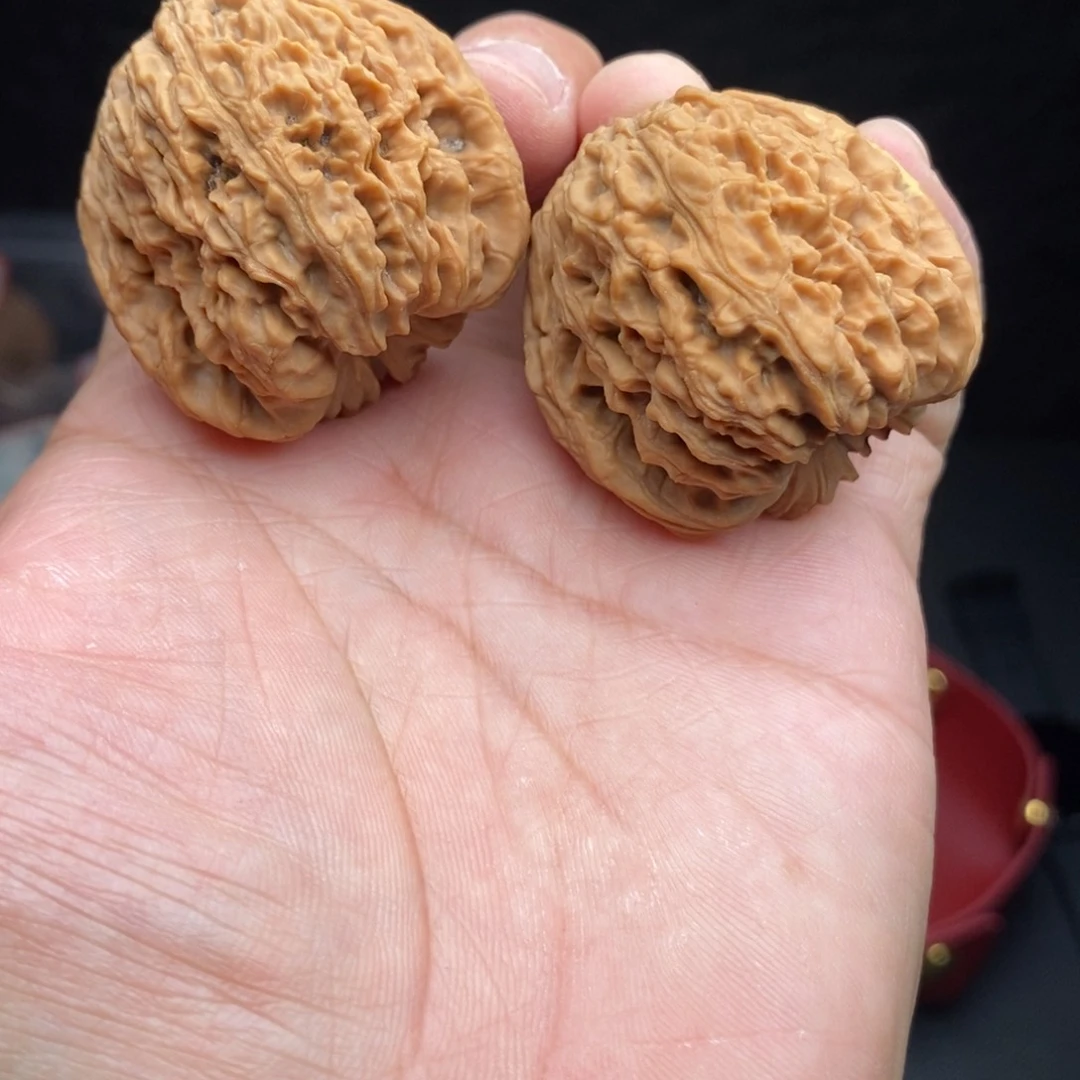 八号38尺凹底全家福有黄