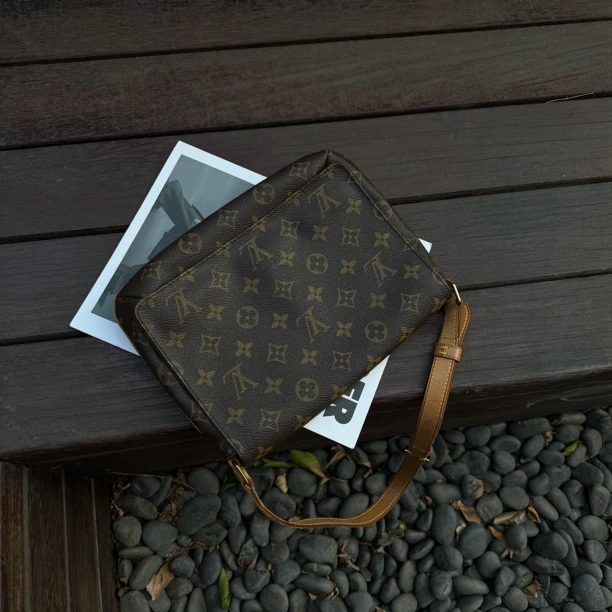 95新 LouisVuitton/路易威登 【小考拉】路易威登 老花王菲单肩包