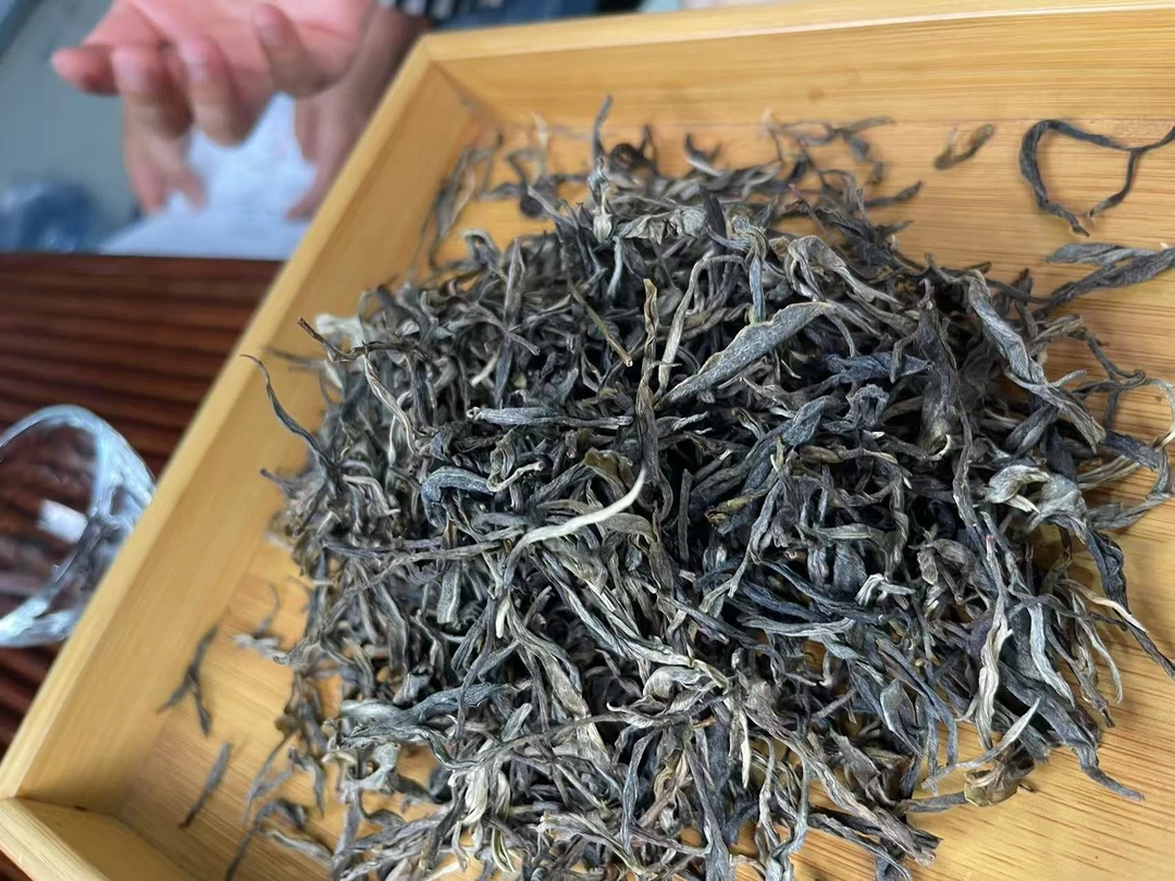 【2024年章珍古树春茶】生茶古树A0015