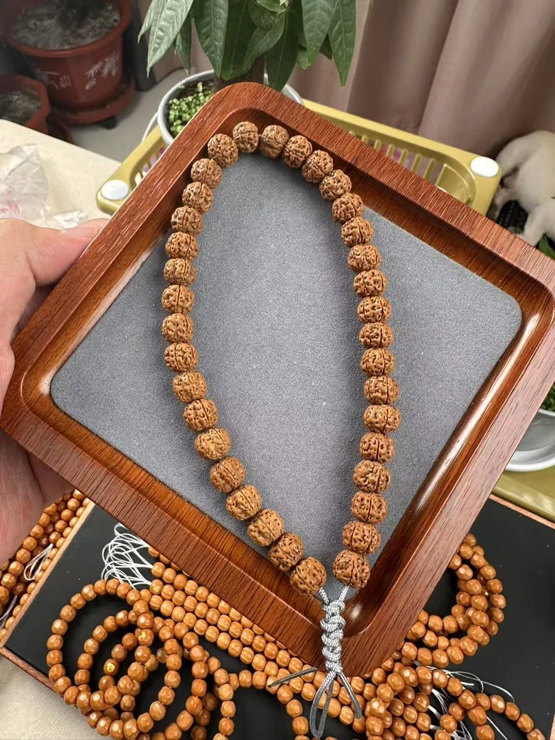 纯血勿里达梅花小金刚手持