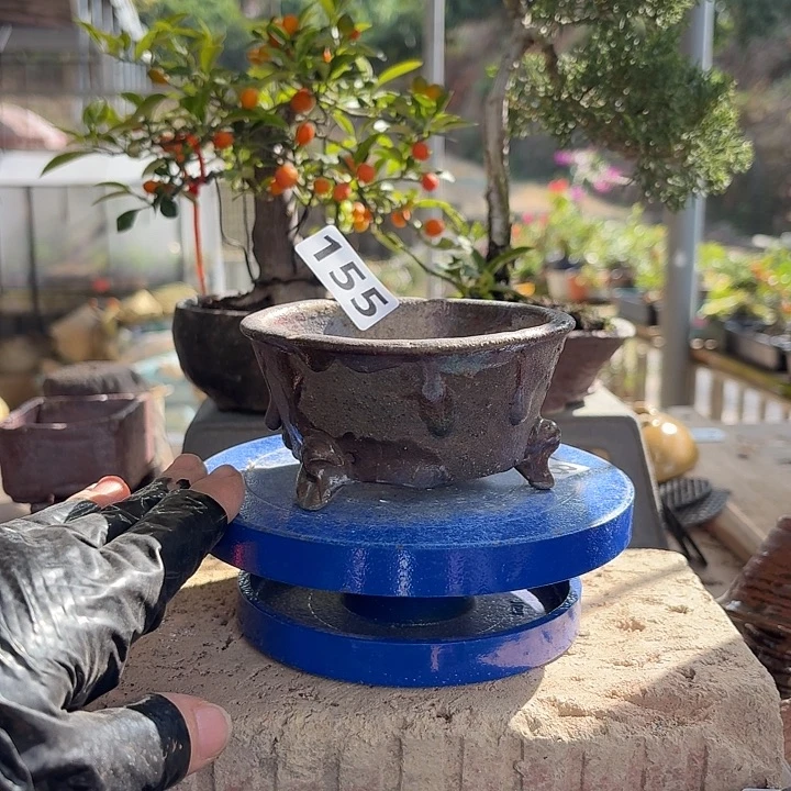 9.5x4.5///////155/////////花盆