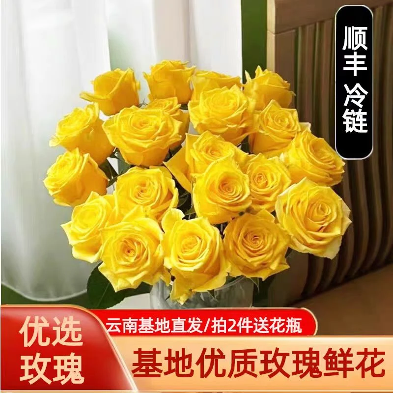 AB级金枝玉叶黄玫瑰花金色黄色玫瑰鲜花云南基地直发顺丰一单包邮