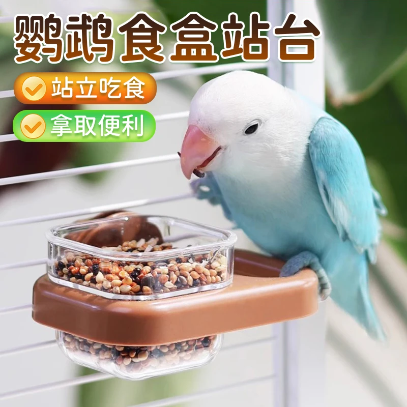 【宠大条】鹦鹉鸟饮水器方形玄凤鸟笼站台饮水喂食两用喂鸟器食盒