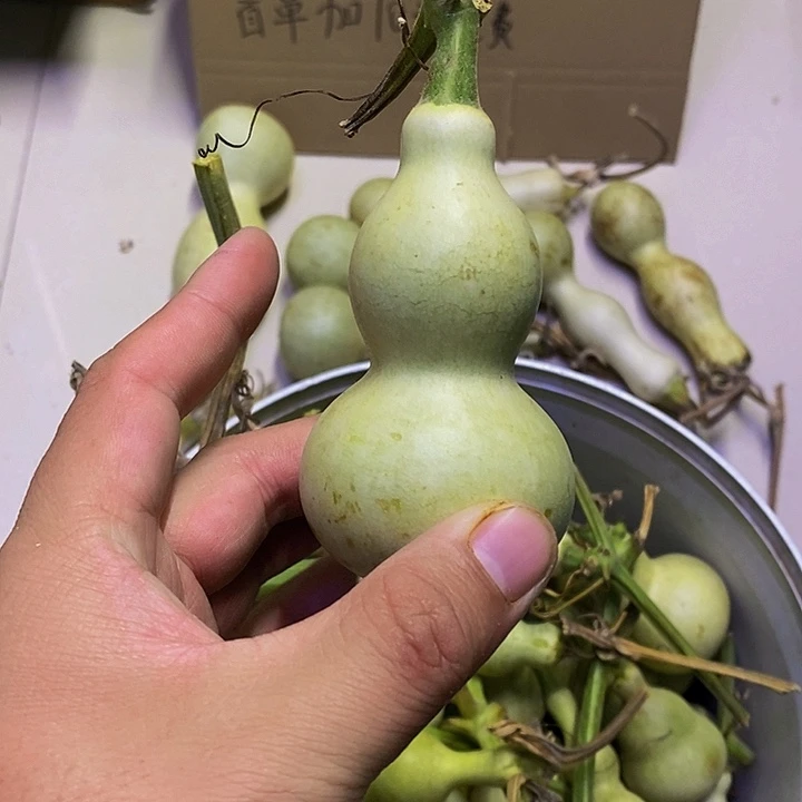 苦**王哈哈哈哈哈哈哈哈哈哈