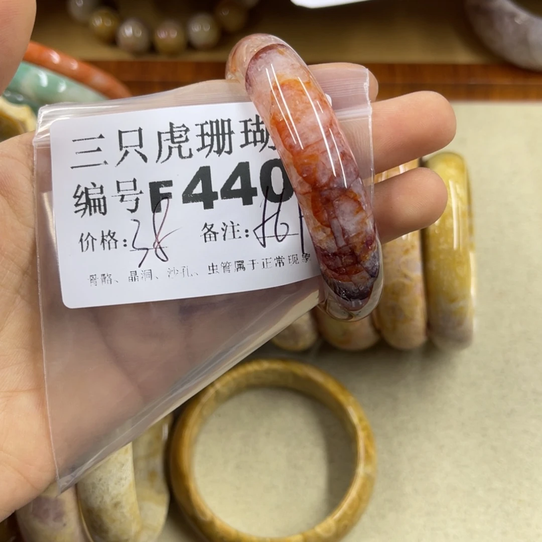 蝈***蝈未镶嵌h硅化珊瑚（珊瑚玉）