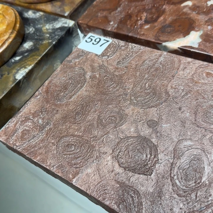 344445555初*o 111111111