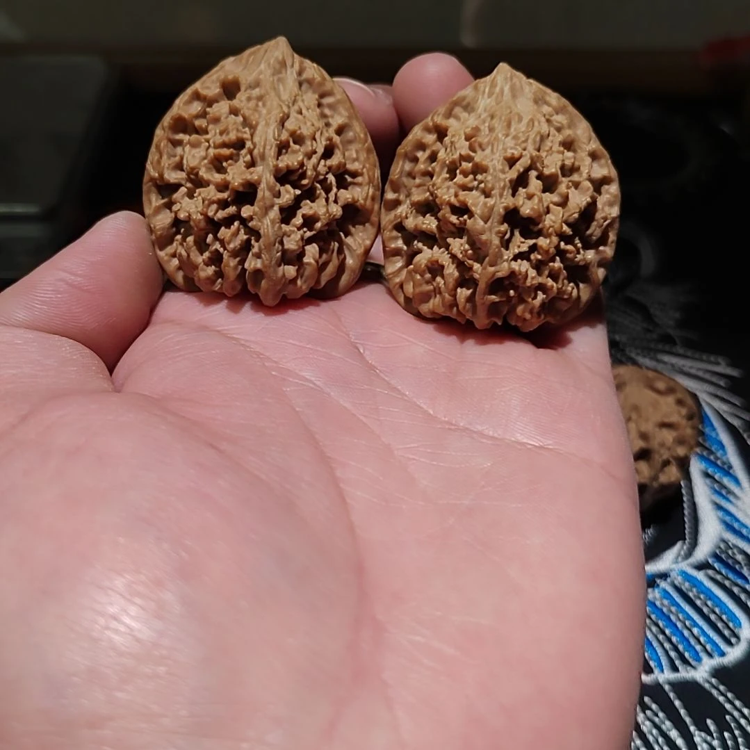 吊坠文玩核桃40满天星