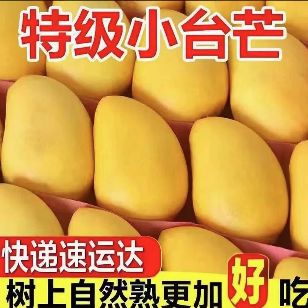 【到手约6斤】当季新鲜老树台农芒芒果皮薄肉厚爆甜多汁