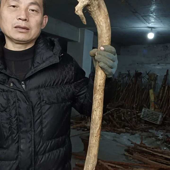 稳定木哈*贵州檬子木   铁马鞭   根艺  半成品