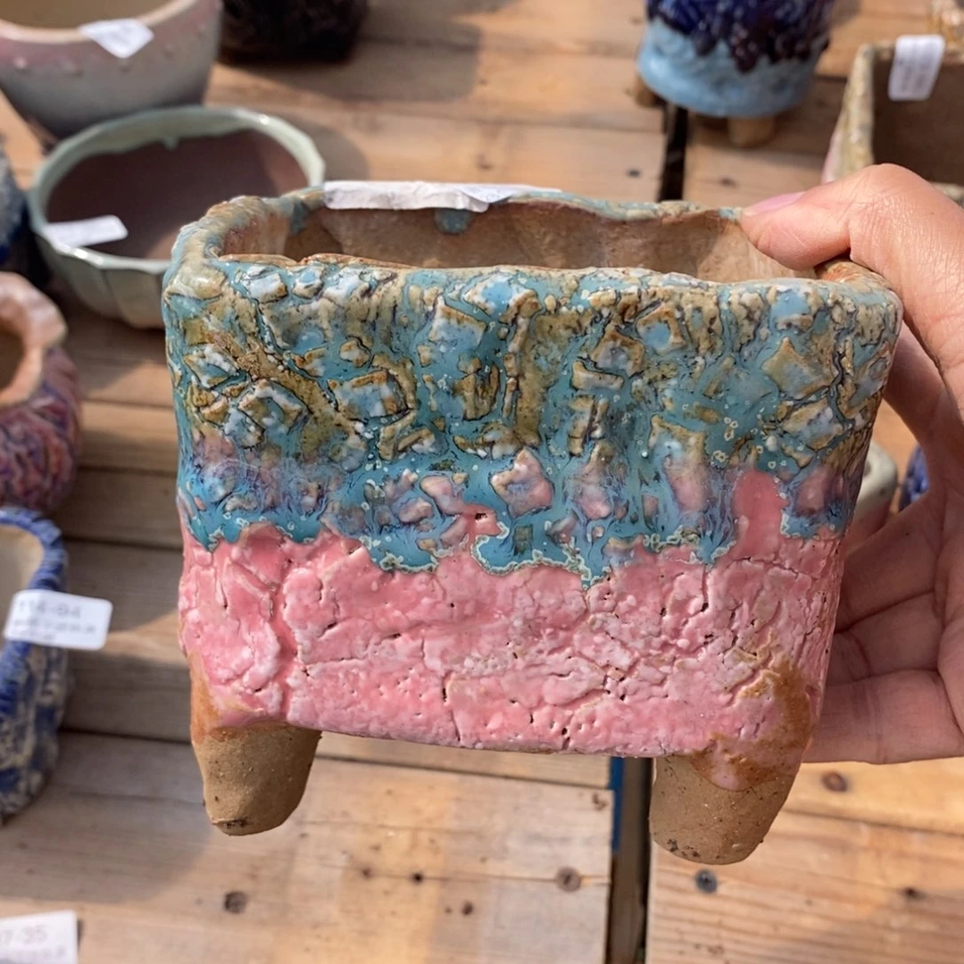 98哈多肉盆口径10.5