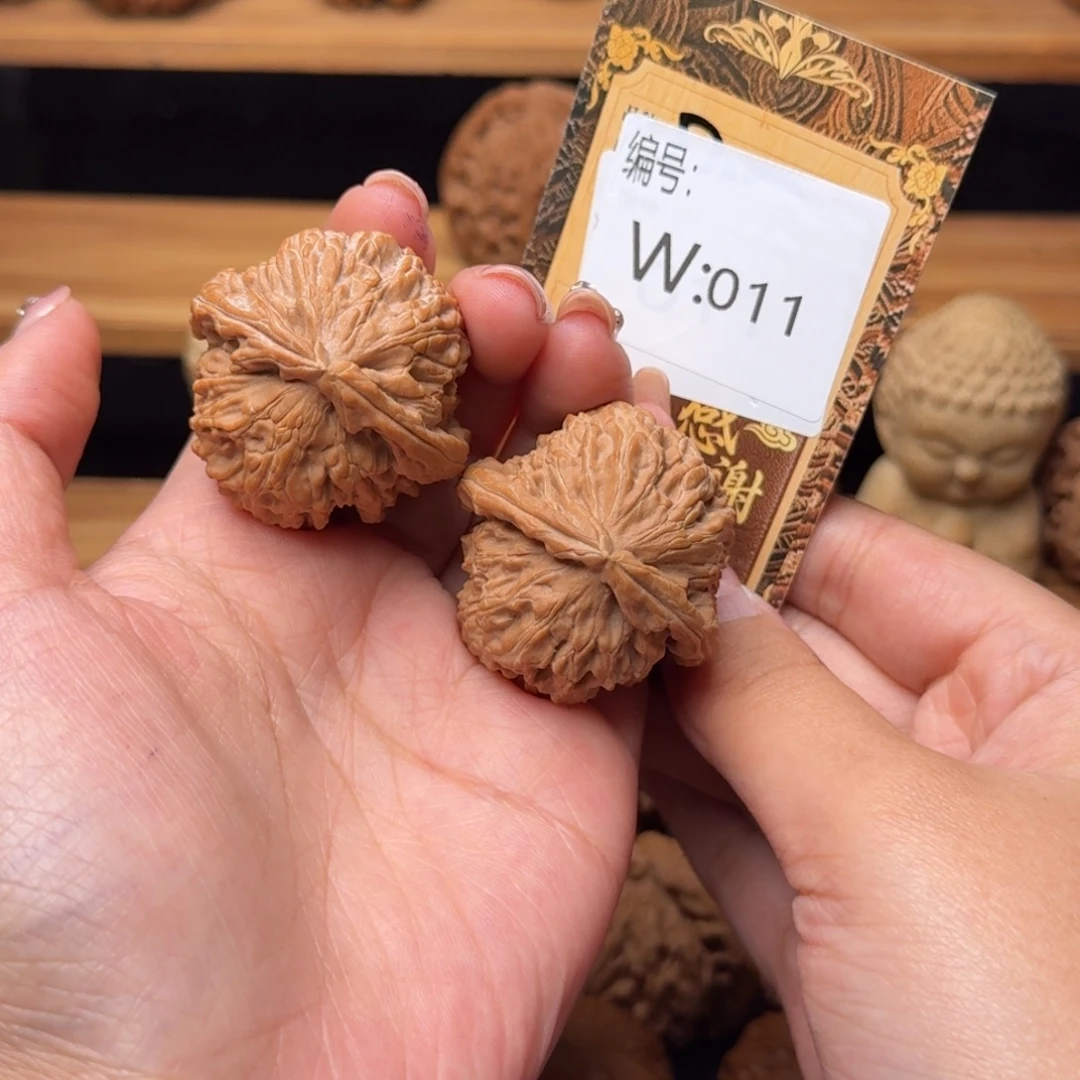 核桃w011白狮子3.9全品