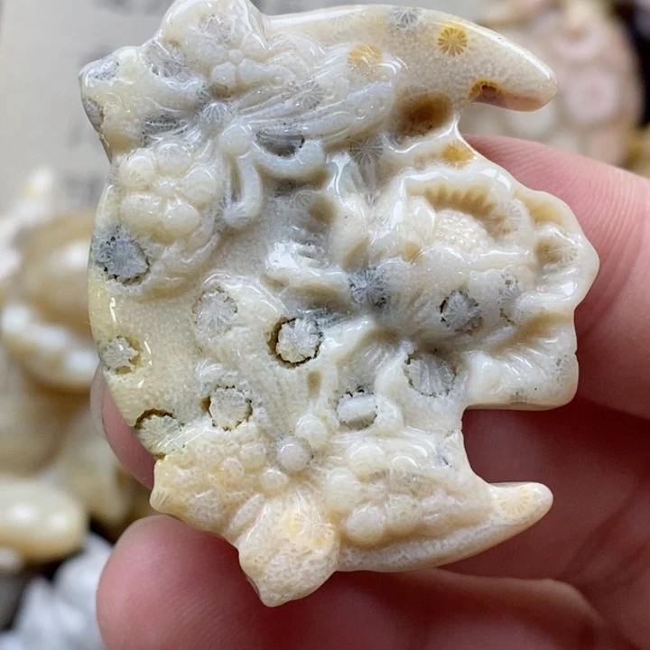 颈饰未镶嵌硅化珊瑚（珊瑚玉）有瑕