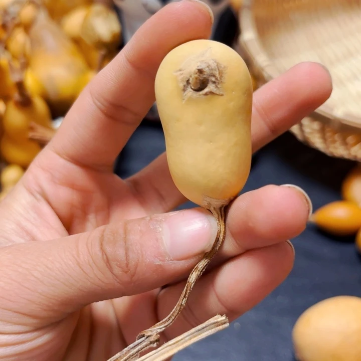 悠****888888888888888