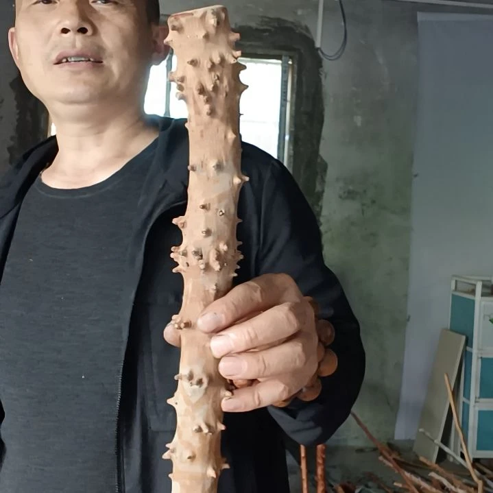 稳定木小****9贵州檬子木   铁马鞭   根艺  半成品