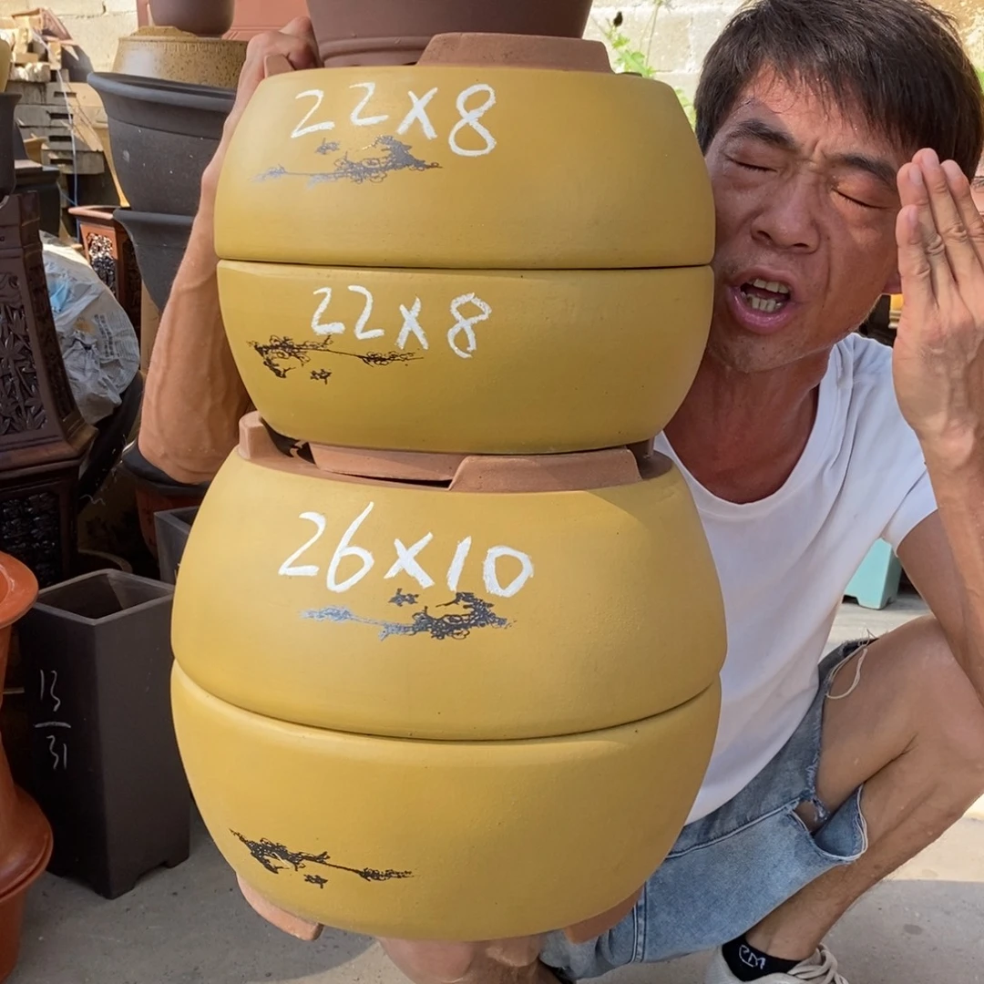 紫砂紫砂紫砂紫砂