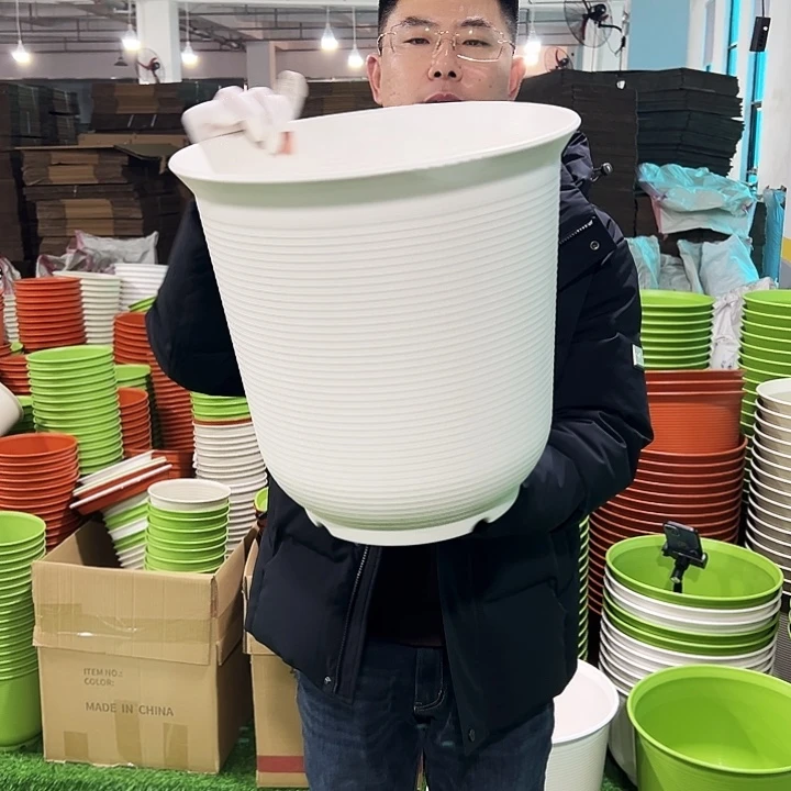 正品高陶口36高36白色2只无托