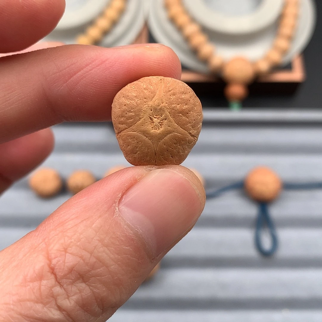 凤眼菩提吊坠v*p麒麟