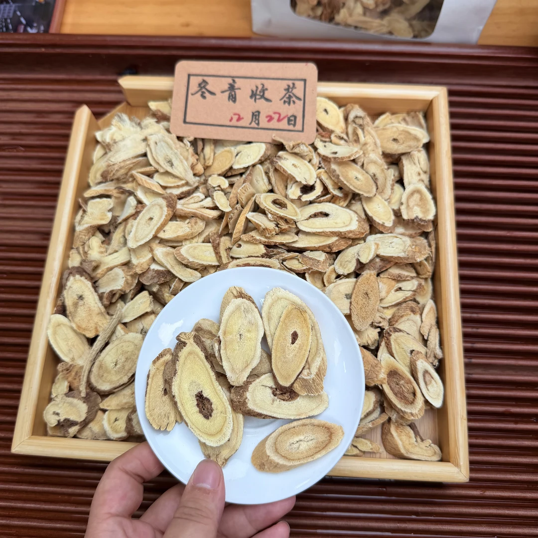 正北芪 阿拉善足年份老芪 百搭益身茶 冬青甄滋补