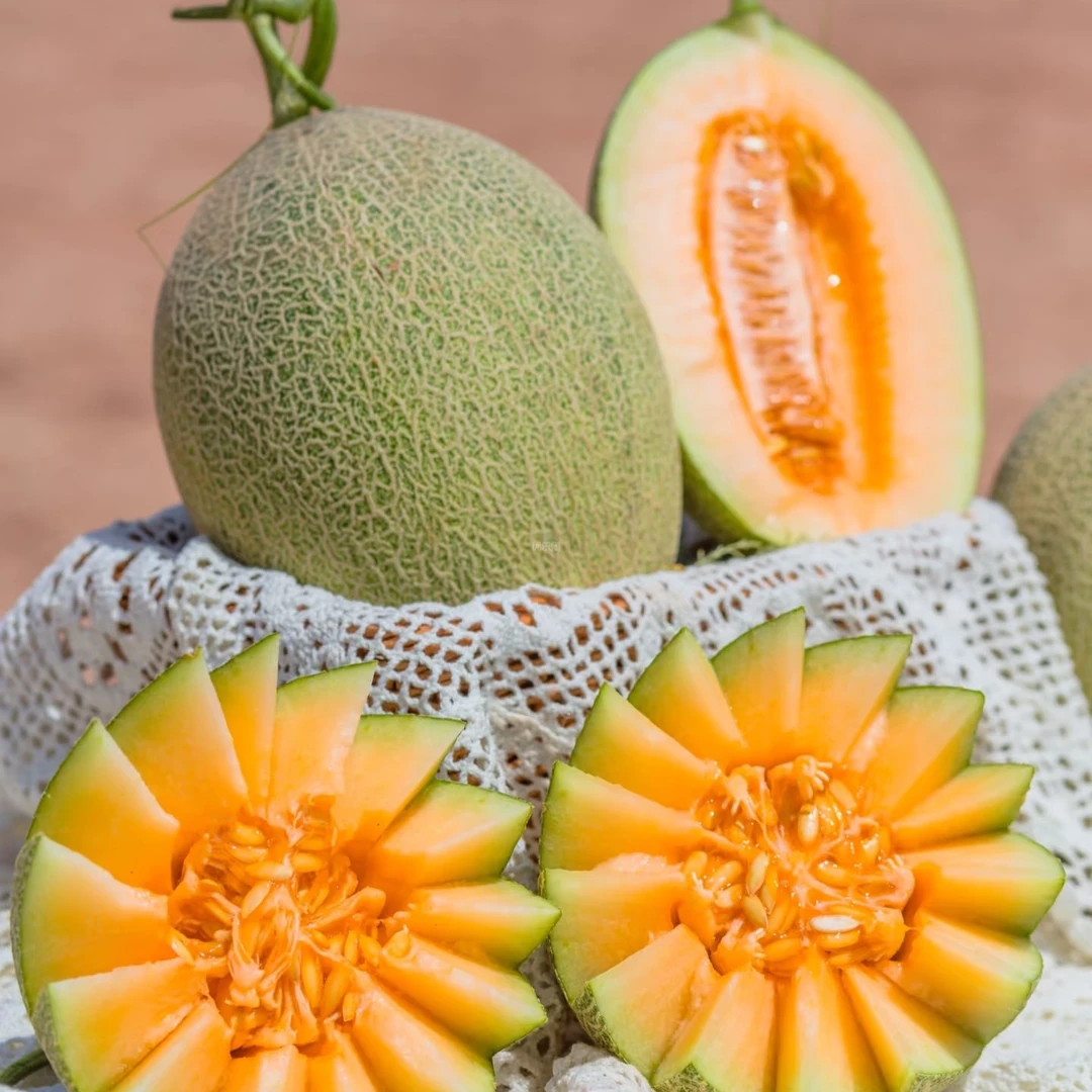 三亩田哈密瓜1枚