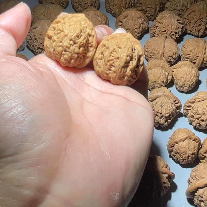 木质类野生31全品