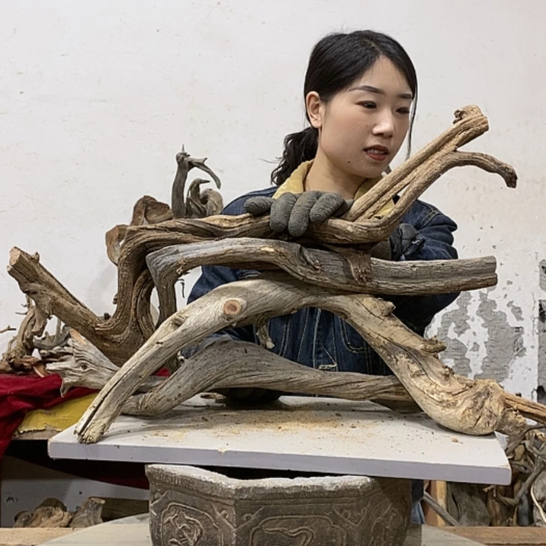 【闪购商品】柏木二**外我们都是好孩子