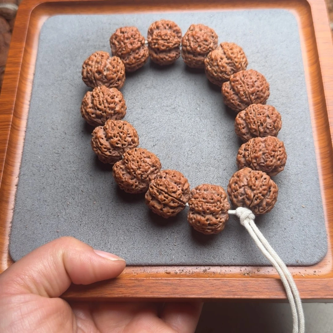 菩提菩提15号尼泊尔大金刚24深沟梅花