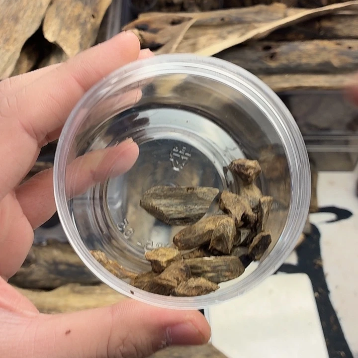 沉水树丁5克，随性