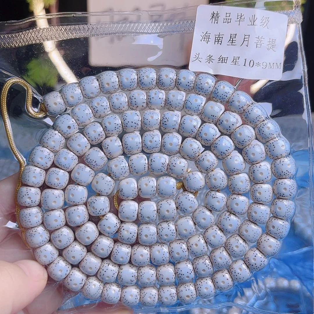吊坠菩提根/象牙果