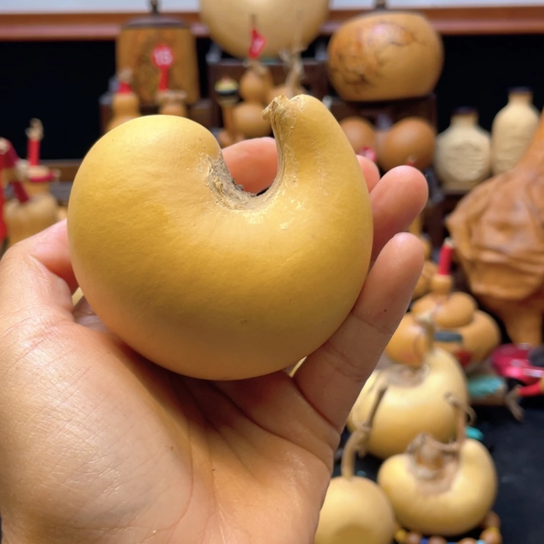 k****！大自然的秘密第十一节的