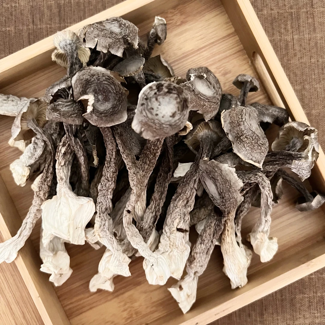 当季新货鹿茸菇干货炒腊肉农家特产脆脆菇炖汤煲汤