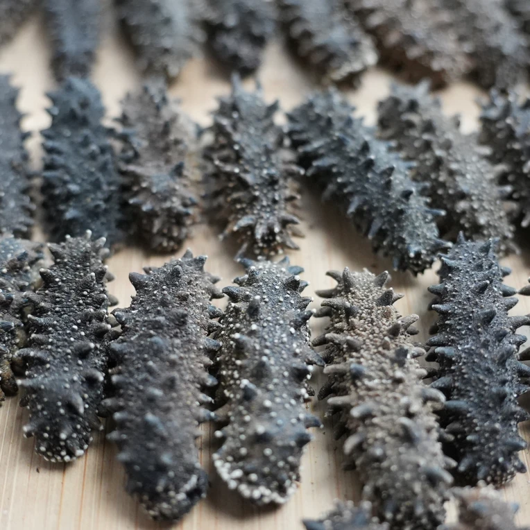 深海野生BHD高品质淡干刺参深海滋补营养丰富孕妈老人孩子