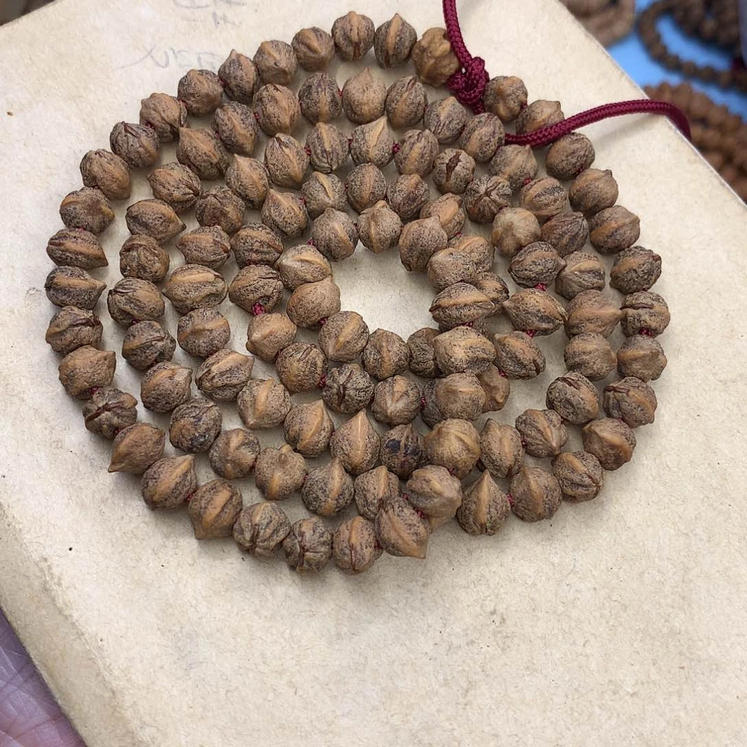 大****逗红芽原桩横打小老虎