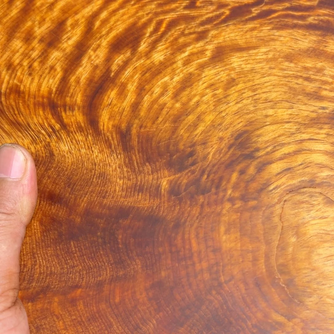 松木（琥珀木）无事牌森**子微瑕裂