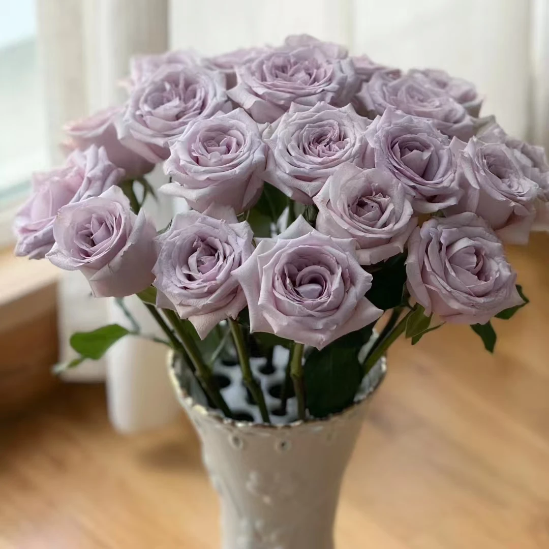 【轶11】朵拉鲜切花玫瑰居家鲜花 收到花带包装醒花