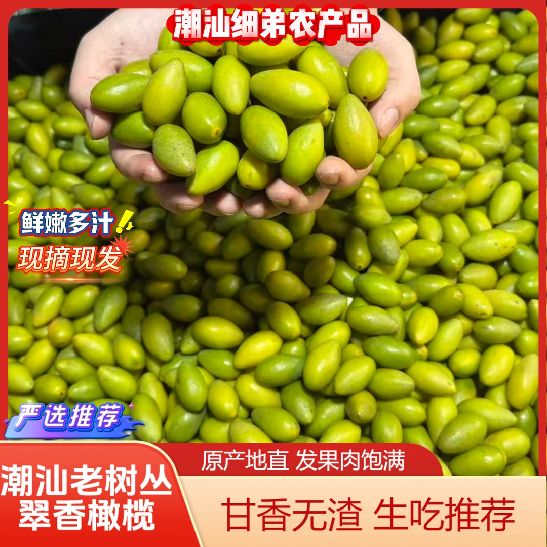 【原生态不甜】潮汕老树丛翠香橄榄果新鲜采摘现发煲汤 泡酒 生吃