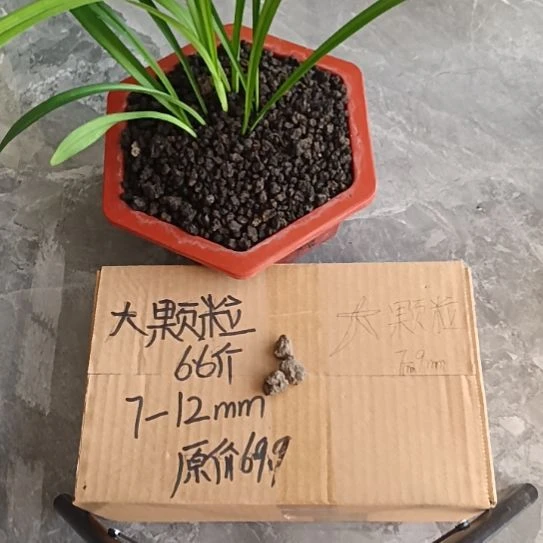 W***u兰菌黑山土大颗粒6.6斤