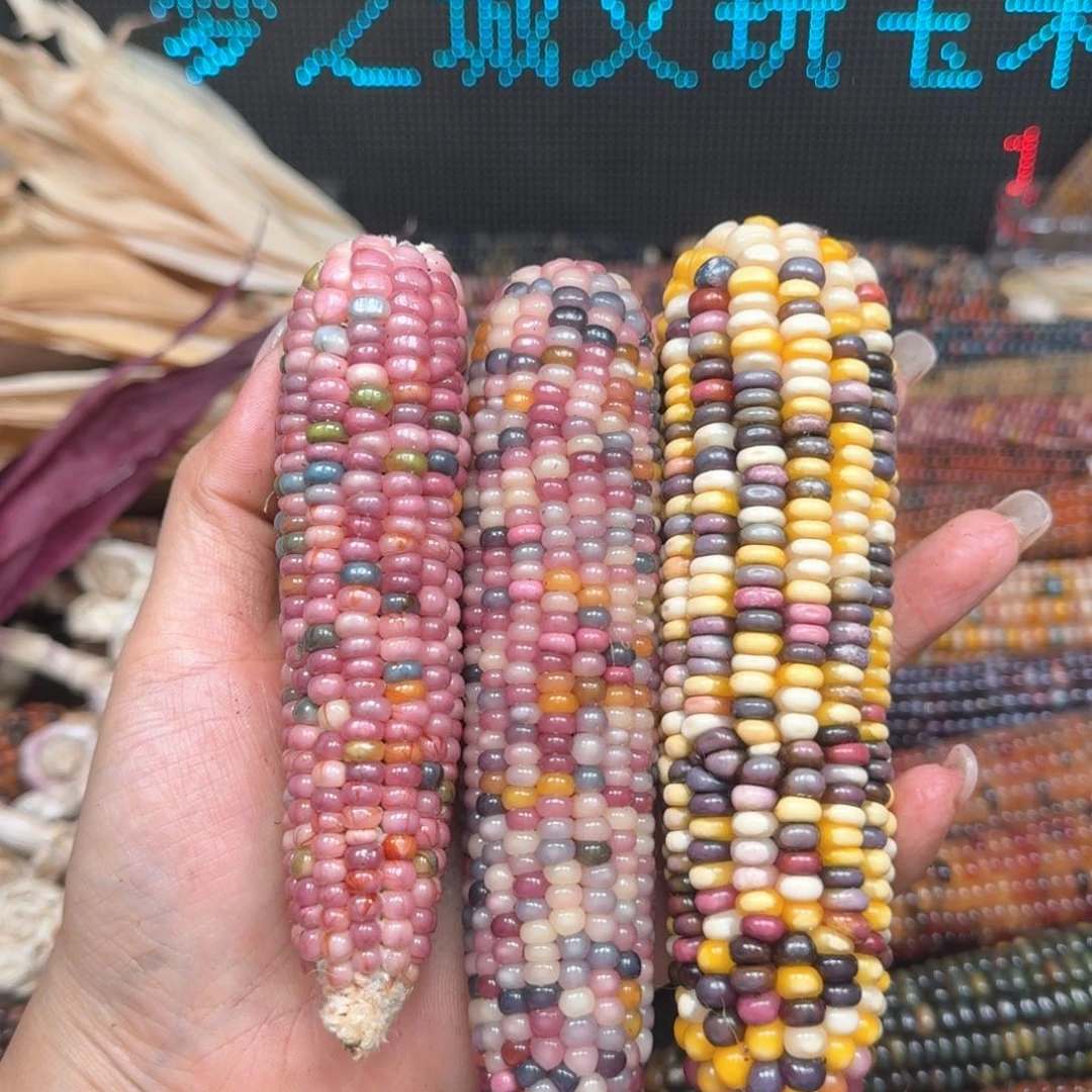 柏香籽/百香籽吊坠乂*