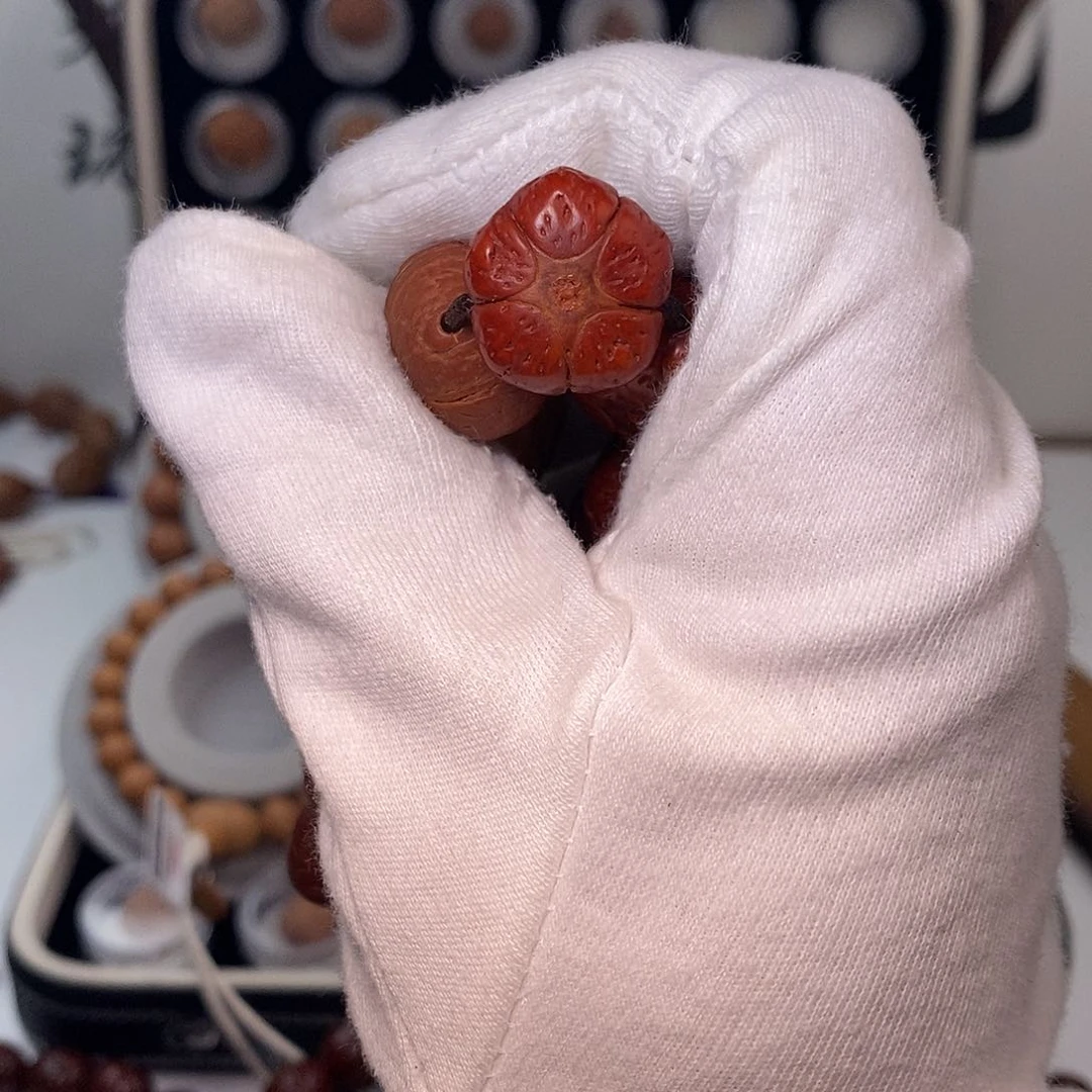 凤眼菩提手串五星单籽