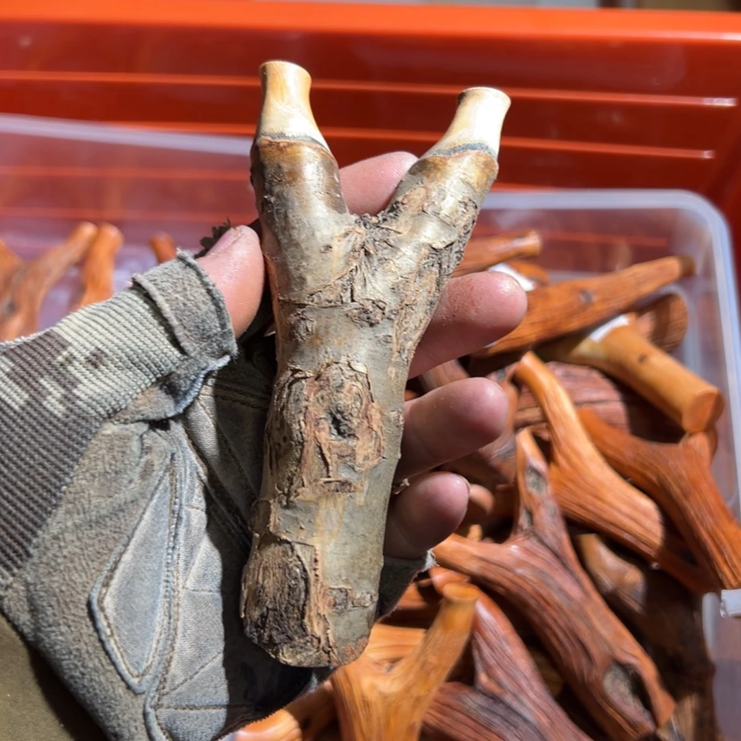 精***者火琉璃树杈木弓手工制作