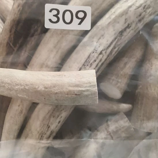 蔺***。鹿角鹿角鹿角鹿角鹿角鹿角