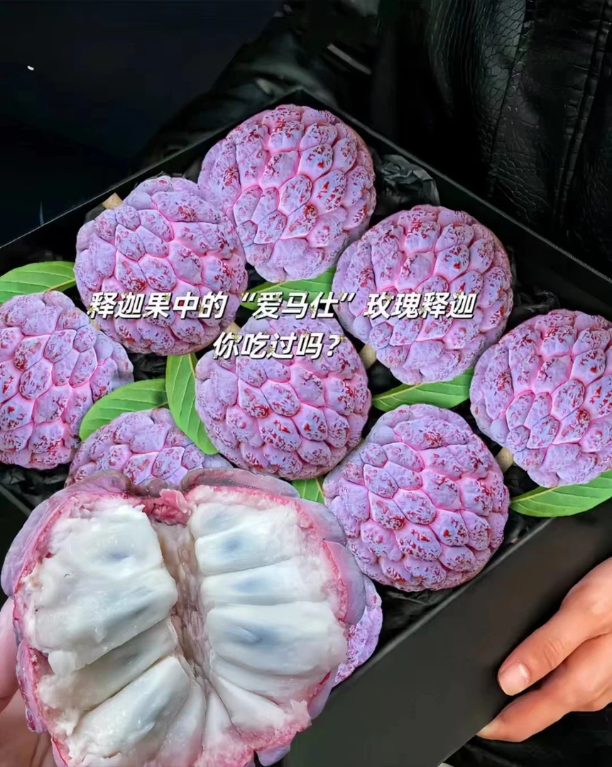 【顺丰空运1】海南玫瑰释迦果当季水果现摘新鲜水果冰激凌口感