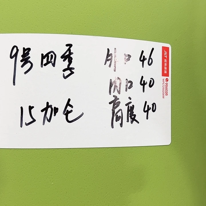 四季9号特价混色2个无托