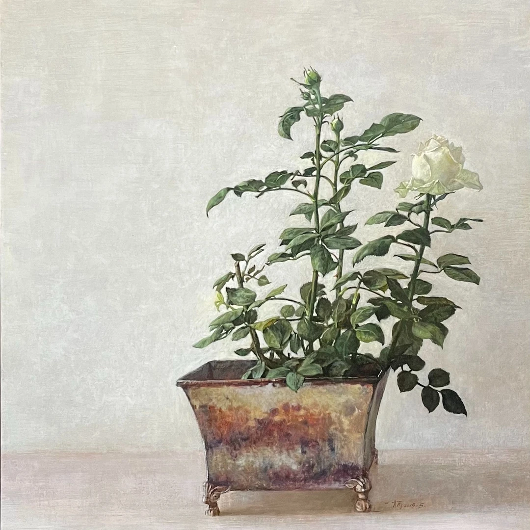 《月季静物》65*50cm