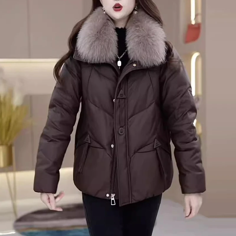 2025秋季新款韩系纯色百搭长袖外套女时尚减龄气质显瘦设计感衣服